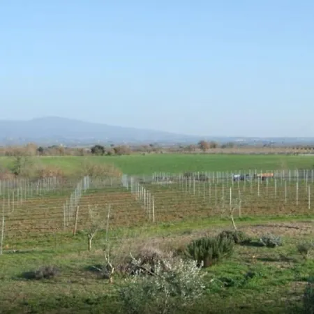 Il Marrugio Casa di campagna