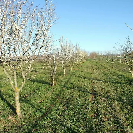 Il Marrugio Casa di campagna Viterbo
